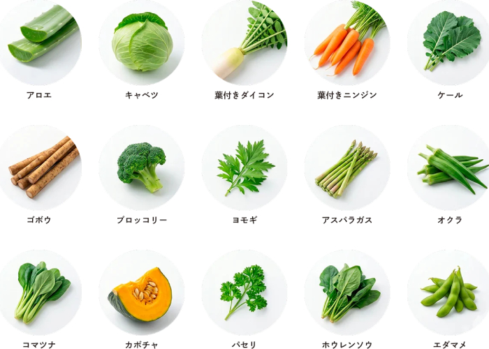 vegetable